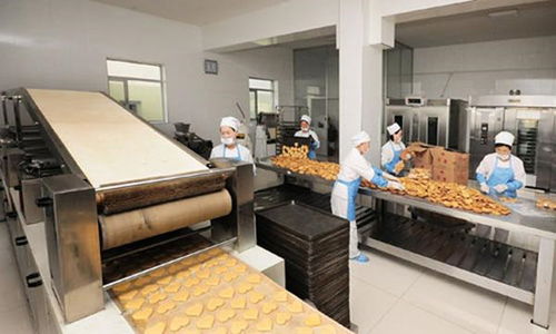 食品廠生產(chǎn)車間內(nèi)墻墻面材料選材大全